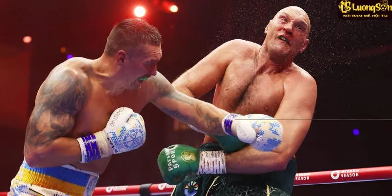 Hành trình đỉnh cao của Usyk trong làng quyền Anh